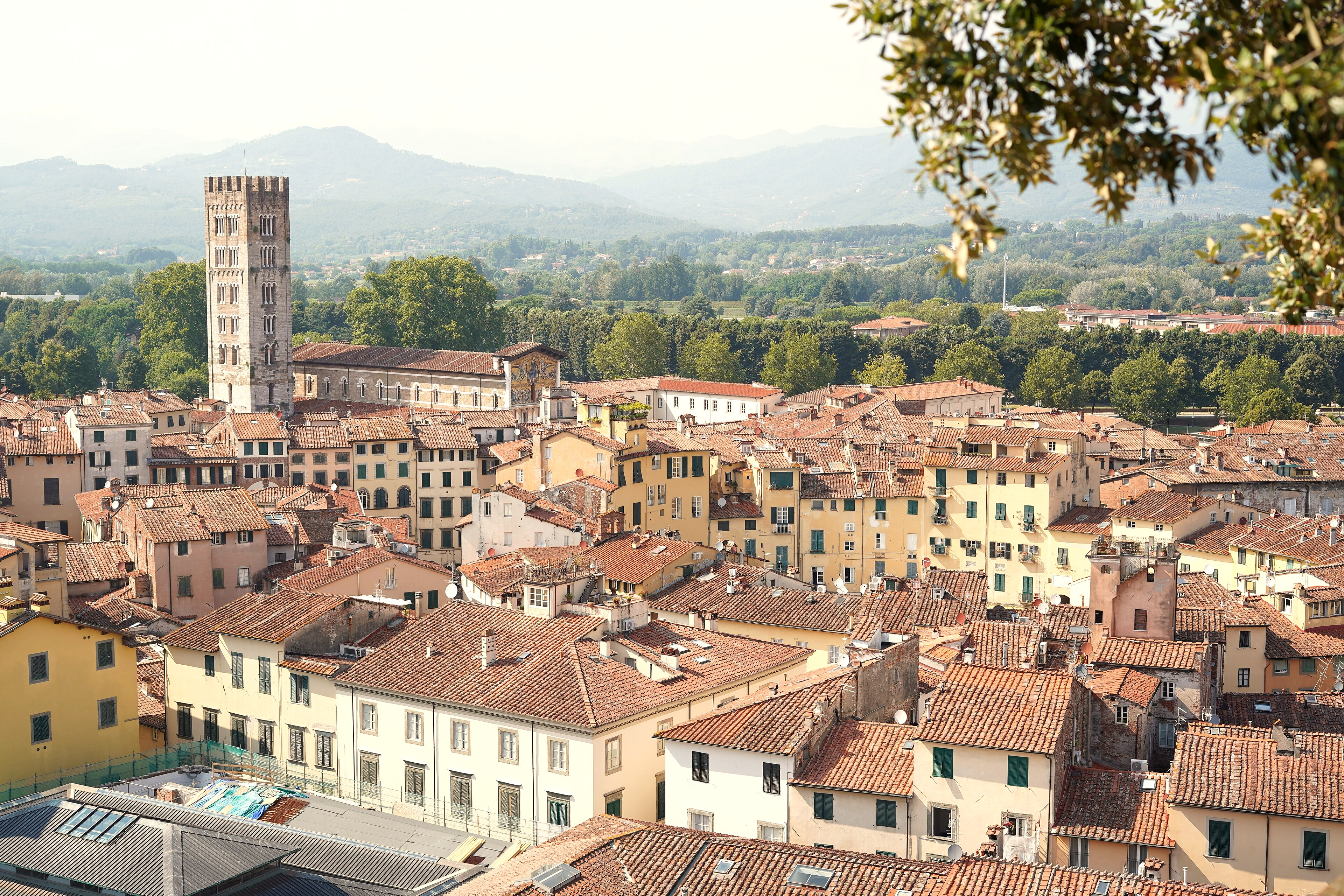 Lucca — Torri e tetti di Lucca dalla Torre Guinigi, con le colline sullo sfondo